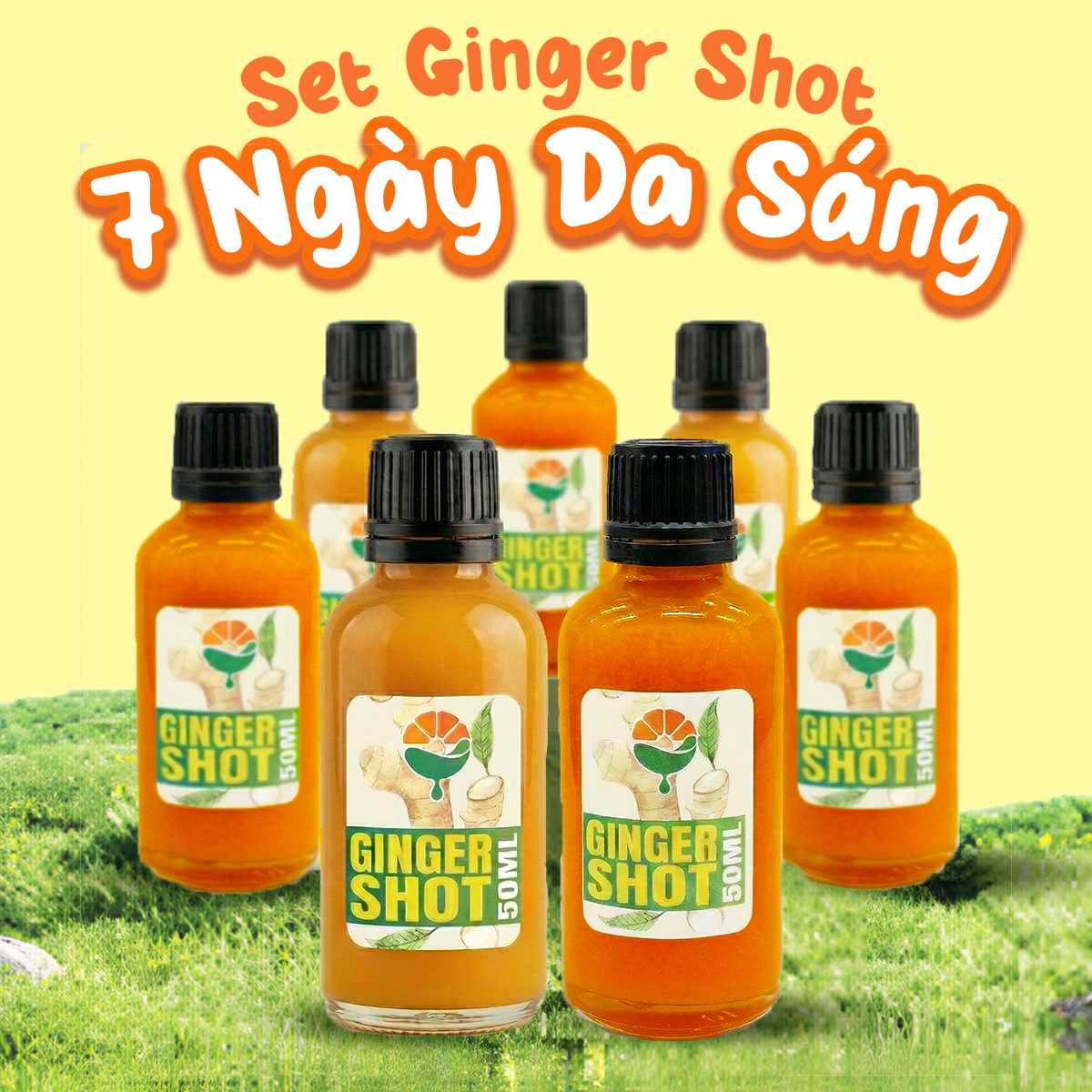 Set Ginger Shot - 7 Ngày Da Sáng