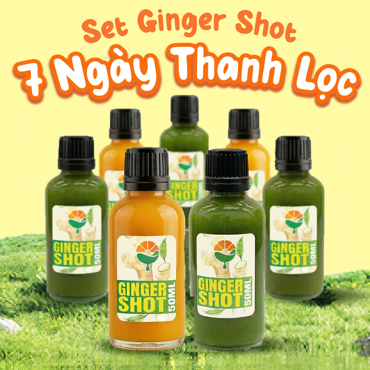 Set Ginger Shot - 7 Ngày Thanh Lọc