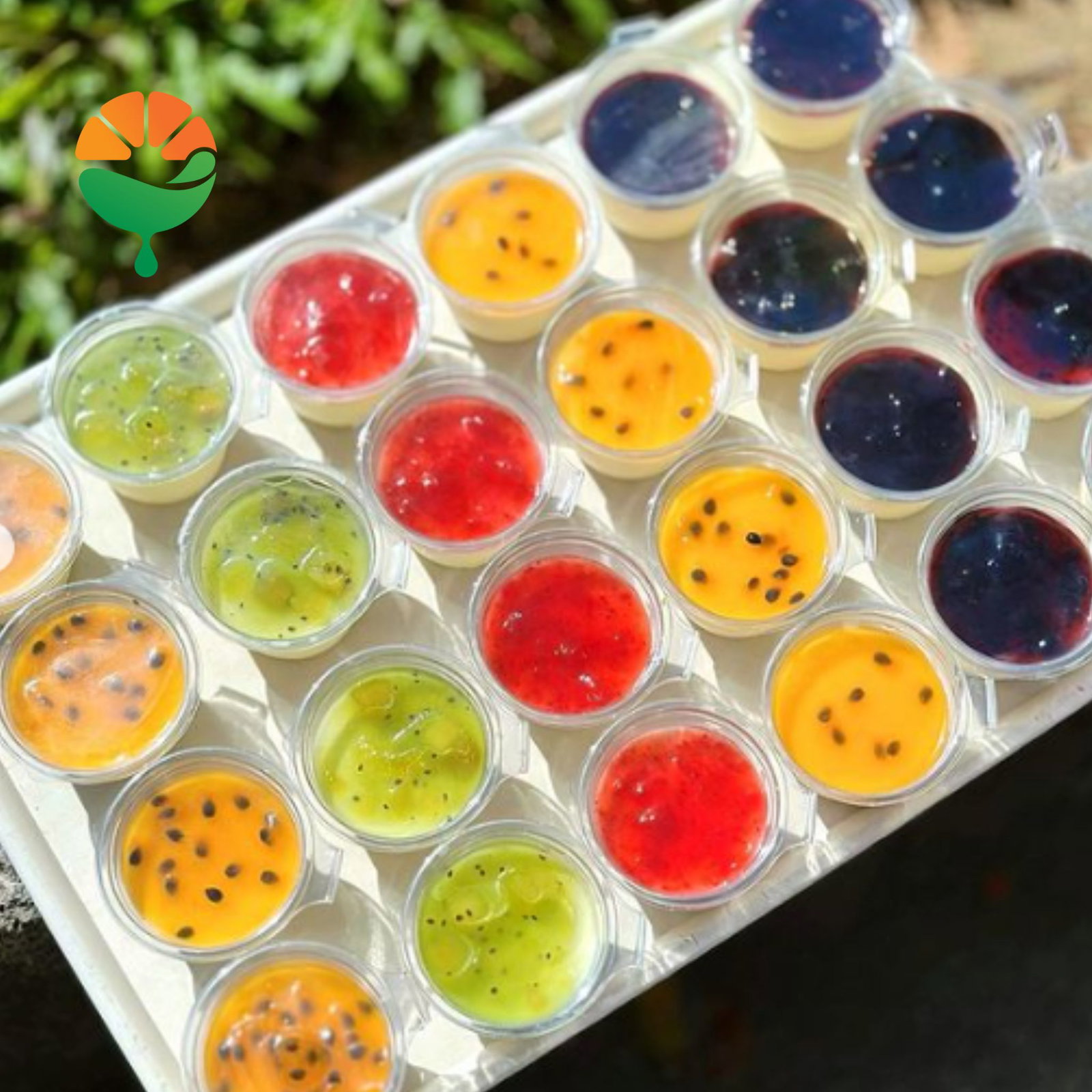 Panna Cotta cho bữa tiệc teabreak