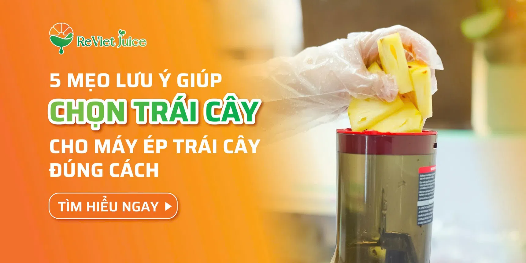5 mẹo hay giúp chọn trái cây cho máy ép trái cây đúng cách