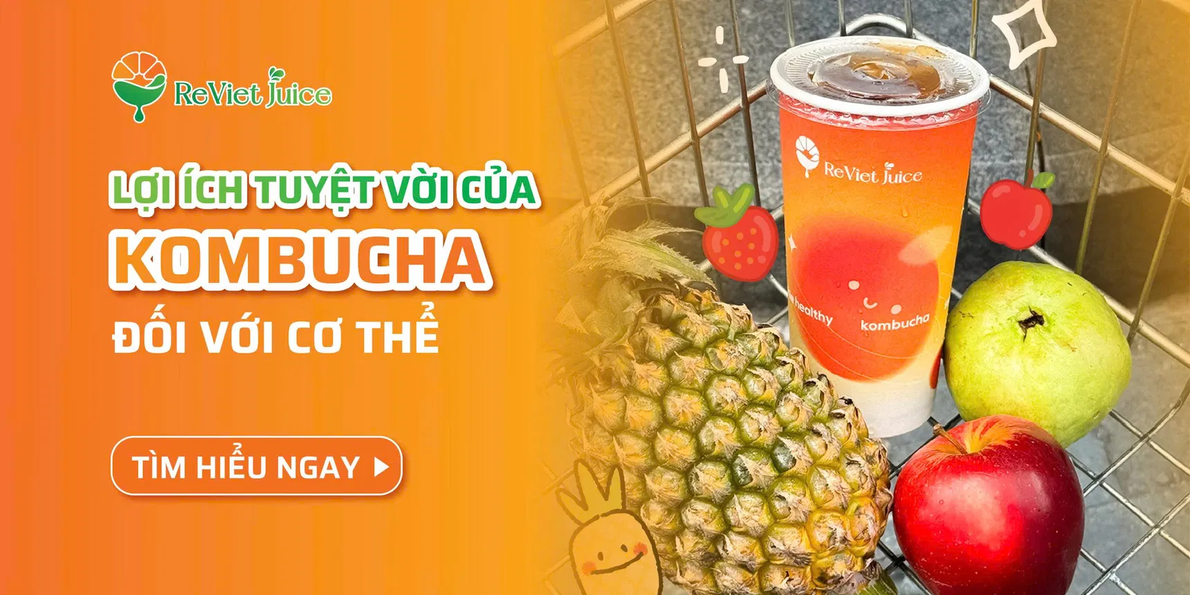 8 lợi ích của kombucha đối với cơ thể con người