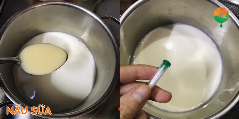 Nấu sữa để làm sinh tố bơ