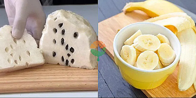 Xay sinh tố