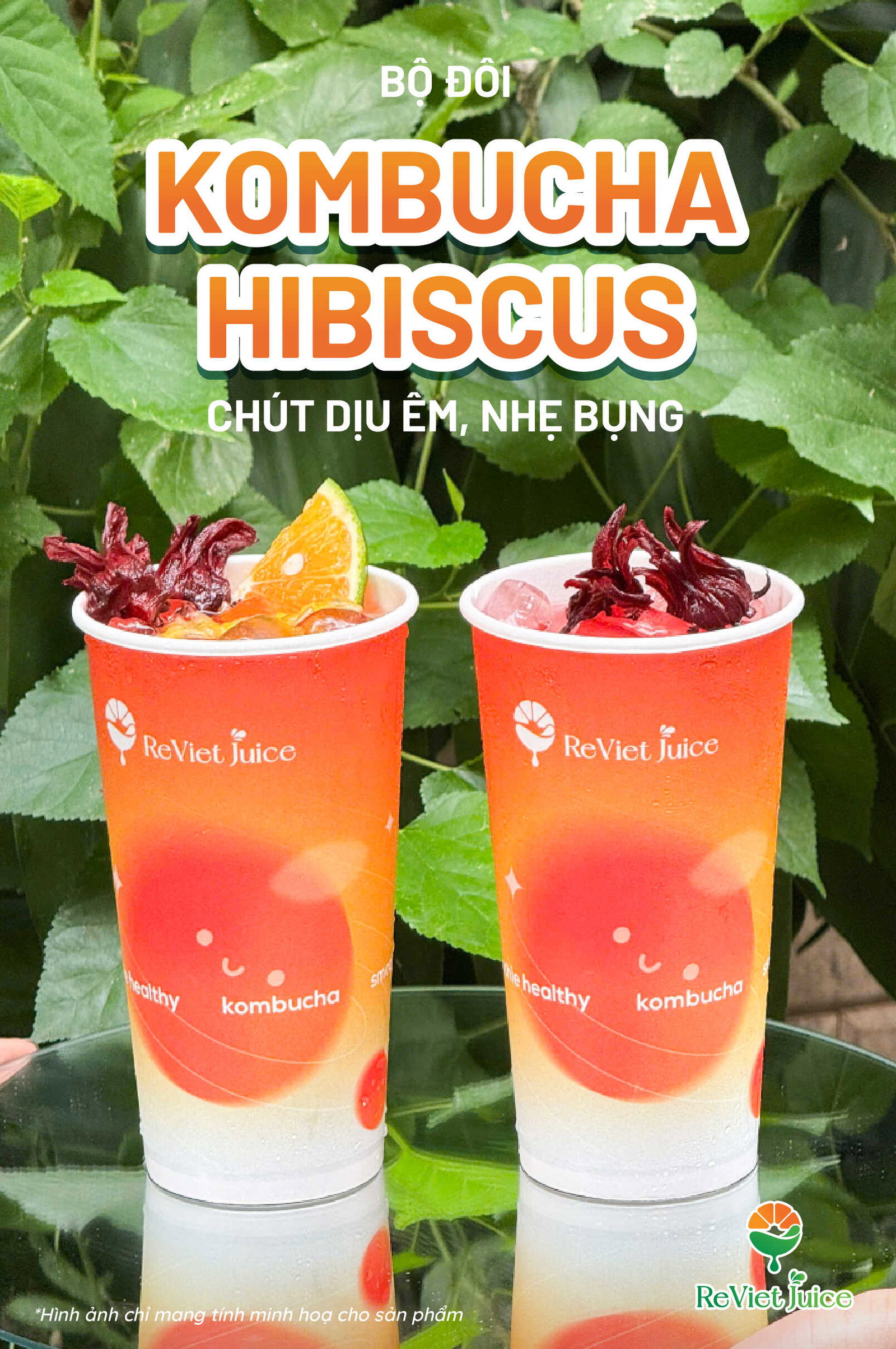 Kombucha Hibiscus là gì?
