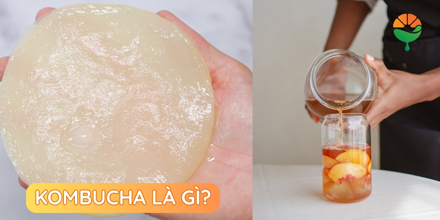Kombucha là gì