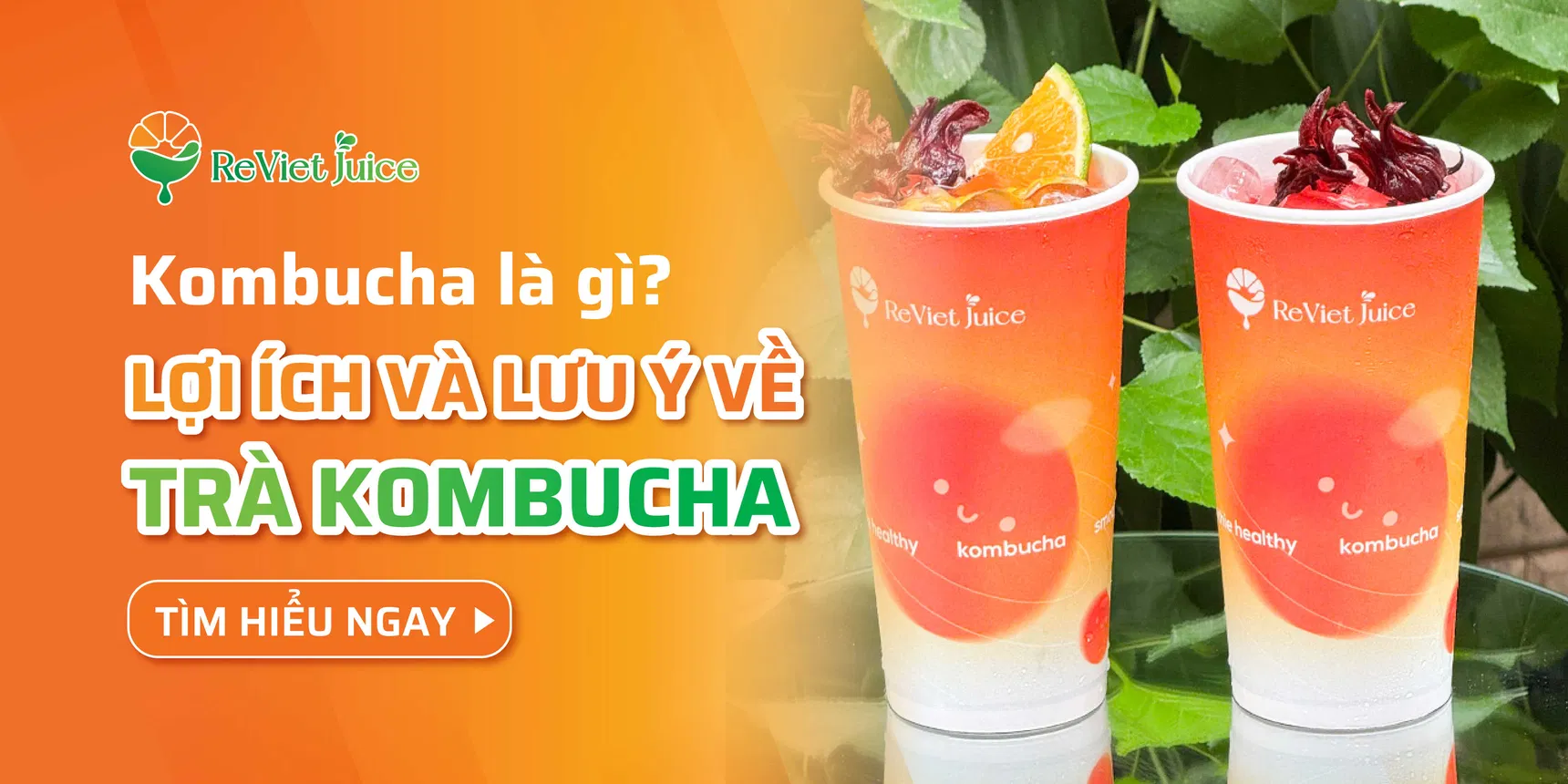Kombucha là gì? Những lợi ích của trà kombucha và lưu ý cần biết