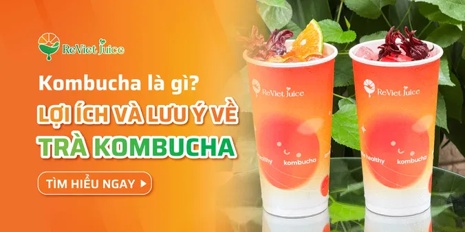 Kombucha là gì? Những lợi ích của trà kombucha và lưu ý cần biết