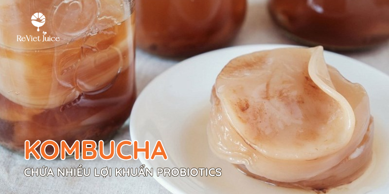 Kombucha là một nguồn thực phẩm chứa nhiều lợi khuẩn Probiotics