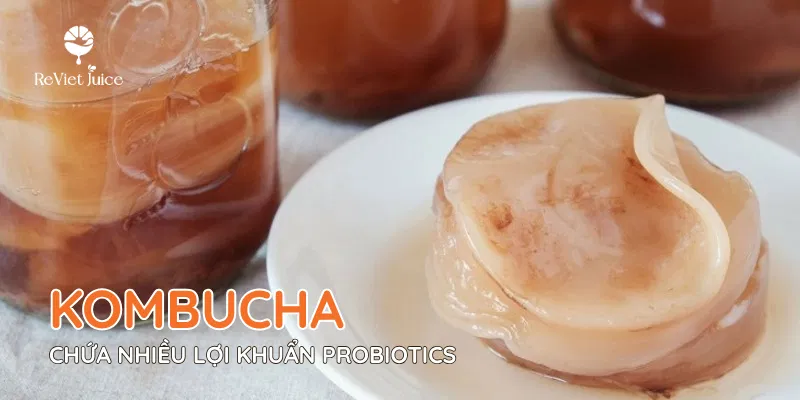 Kombucha là một nguồn thực phẩm chứa nhiều lợi khuẩn Probiotics
