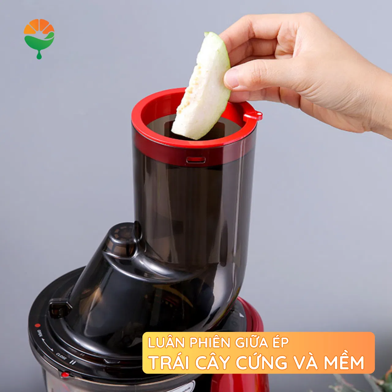 Luân phiên giữa ép trái cây cứng và mềm