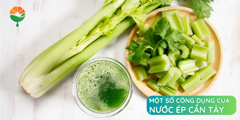 Một số công dụng của nước ép cần tây
