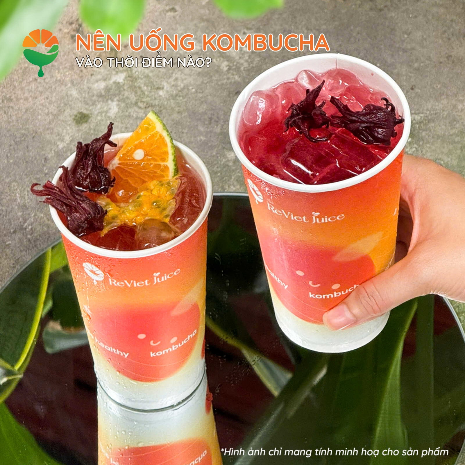 Nên uống kombucha vào lúc nào để có lợi cho sức khỏe nhất?
