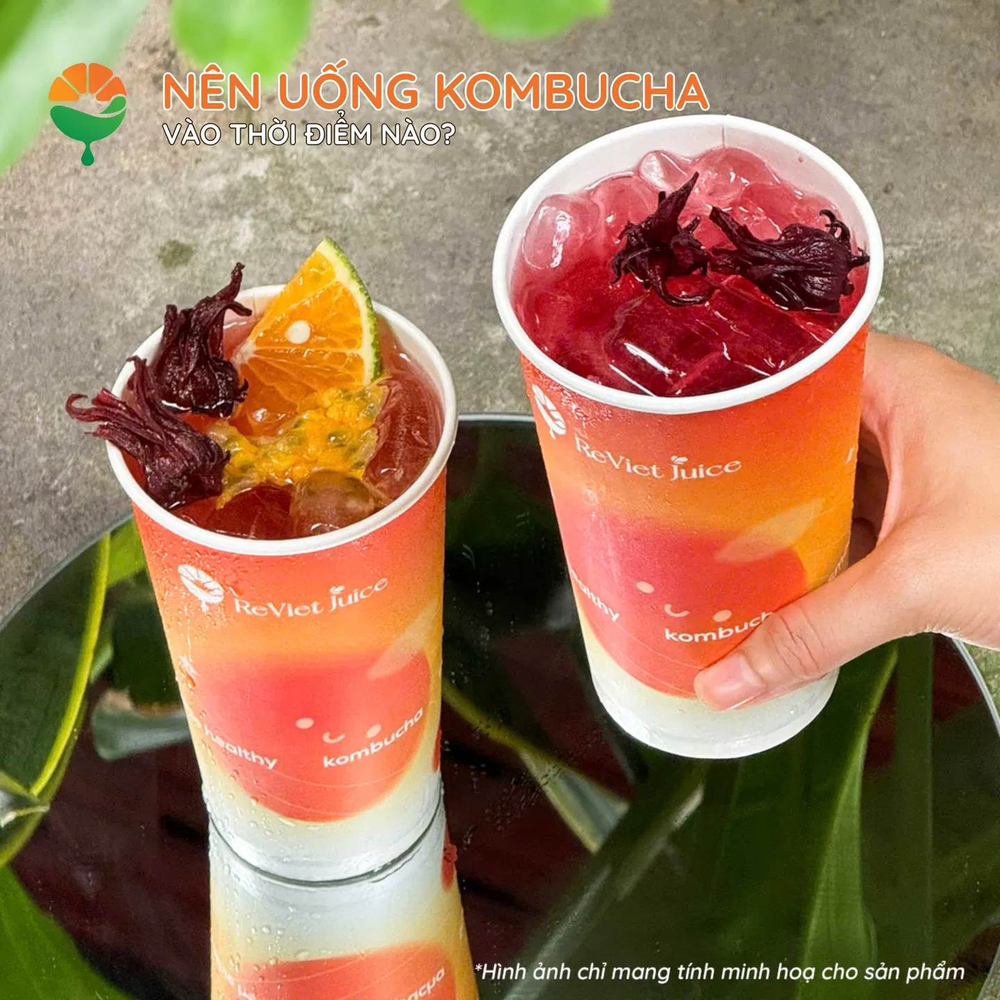 Nên uống kombucha vào lúc nào để có lợi cho sức khỏe nhất?
