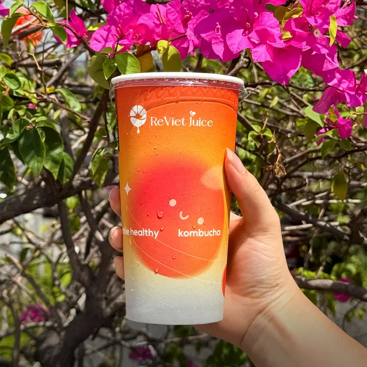 Trà Kombucha