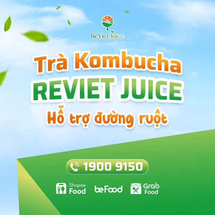 Trà kombucha ReViet Juice hỗ trợ đường ruột