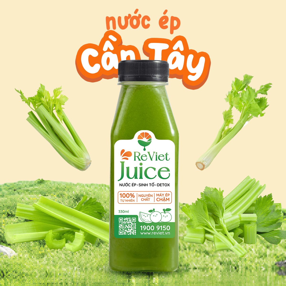 Uống nước ép cần tây có giảm cân không?