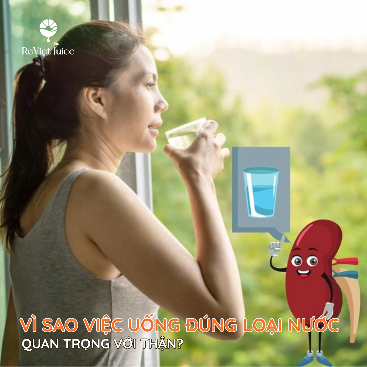 Vì sao việc uống đúng loại nước quan trọng với thận?